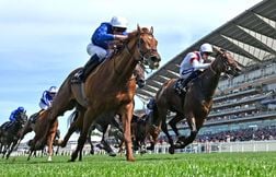 Record battu pour une pouliche vendue trois millions d’euros à Deauville