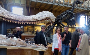 Ségolène Royal, ministre de l'Ecologie, au Muséum d'histoire naturelle à Paris le 12 mai 2014.
