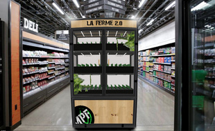 La ferme 2.0 de Mes petites feuilles.