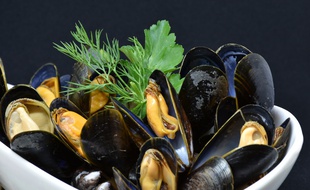 Des moules (illustration).