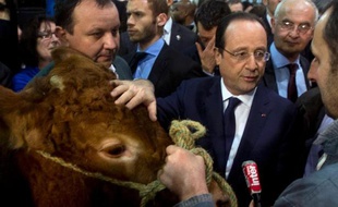 A huit heures du matin, il a déjà englouti une brochette d'agneau, quelques bouchées de boeuf et du fromage avec un verre de blanc: François Hollande s'est plié samedi aux figures imposées d'un président en visite au Salon de l'agriculture, dans un climat étonnamment chaleureux.