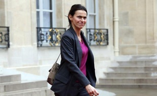 La ministre de la Culture, Aurélie Filippetti, élue de Moselle, a estimé mardi qu'il n'y avait "pas de confiance" dans la parole de l'industriel Lakshmi Mittal sur le site de Florange, estimant qu'il faudrait en revenir à une solution de reprise si "les engagements n'étaient pas tenus".