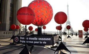 Du 10 au 18 mars se tiendra la 13e Semaine nationale de mobilisation pour le don de moelle osseuse en Ile-de-France.