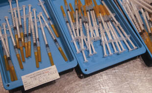 Des seringues contenant le vaccin anti-covid Pfizer.
