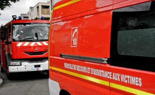 Illustration de camions de pompiers.