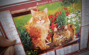 Un calendrier de la Poste (illustration).