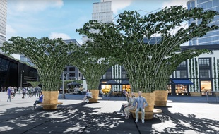 Les premières structures végétalisées de la start-up Urban Canopée seront installées à Toulouse.