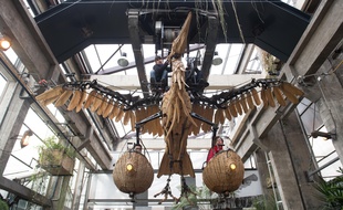 Un héron dans la galerie des Machines