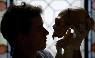 Illustration: un Homo sapiens tient le crâne d'un Homo neanderthalensis.