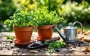 Rempoter basilic, persil ou ciboulette en août : la technique efficace pour booster vos récoltes d’aromatiques avant l’automne