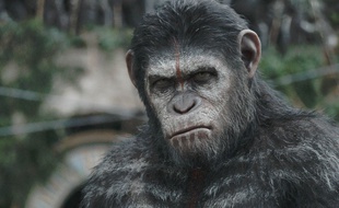 La Planète des Singes: l'Affrontement est attendu le 30 juillet 2014