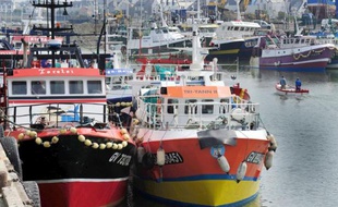 Des chalutiers dans le port du Guilvinec le 21 mai 2008
