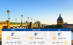 Météo Toulouse: Prévisions du samedi 16 janvier 2021