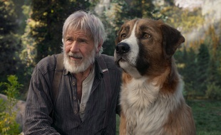 Le quotidien du chien Buck n'est pas toujours des plus reposants dans L'Appel de la Forêt.