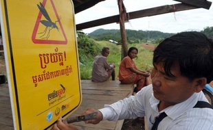 Selon l'OMS, le paludisme (ou malaria) a fait 655.000 morts dans le monde en 2010, mais le taux de mortalité a largement diminué ces dernières décennies, grâce à une plus large utilisation de l'artémisinine, le traitement le plus efficace, et aux moustiquaires traitées aux insecticides.