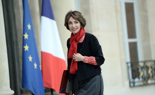 La ministre de la Santé, Marisol Touraine, le 14 novembre 2014 à l'Elysée à Paris