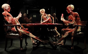 L'exposition présente des corps humains plastinés, avec des tissus biologiques préservés.