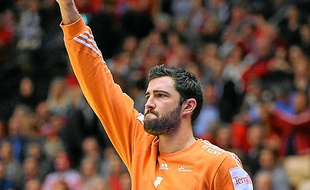 Dumoulin lors de l'Euro 2014.