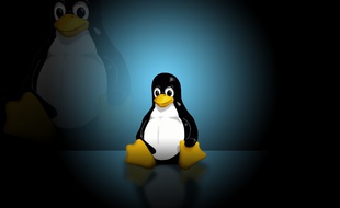 Tux, la mascotte de Linux.