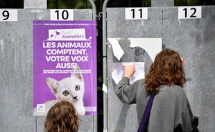 Image d'illustration d'une affiche du parti animaliste lors des élections législatives en 2017.