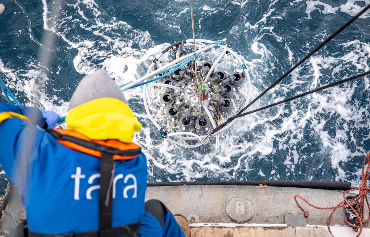 Tara repart pour observer la vie marine le long des côtes européennes