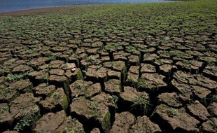 Les sols asséchés situés sur le barrage de Jaguari, à 100 km de Sao Paulo, au Brésil, le 19 août 2014