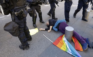 La manifestante Geneviève Legay après sa chute, le 23 mars 2019 à Nice