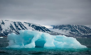 L'Arctique continue à se réchauffer, entraînant depuis ces dernières années un bouleversement durable de l'écosystème de la région, conclut un groupe international de scientifiques dans un rapport rendu public jeudi par le gouvernement américain.