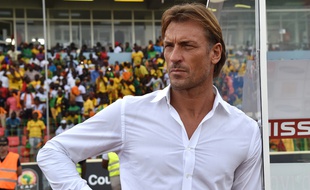 Hervé Renard, le sélectionneur de la Côte d'Ivoire, le 24 janvier 2015.