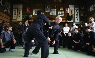Une région japonaise qui avait lancé une offre d'emplois pour embaucher à plein temps des ninjas pour animer le château de Nagoya.
