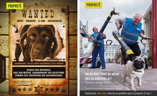 La campagne de communication de la ville d'Hazebrouck contre les crottes de chiens.