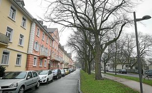 A Kehl, les nouveaux résidents doivent s'inscrire en mairie sous une semaine.