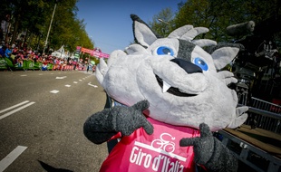 La mascotte du Giro, Lupo Wolfie, le 7 mai 2016