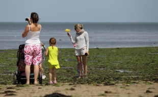 A Grandcamp-Maisy, en Normandie, les touristes s'arrêtent pour photographier les algues vertes qui ont envahi la plage, le 9 juillet 2014