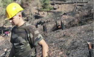 Près de 1 075 ha étaient partis en fumée lors des incendies fin juillet.