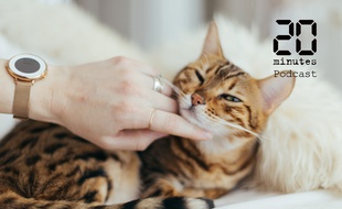 Illustration d'une personne caressant un chat
