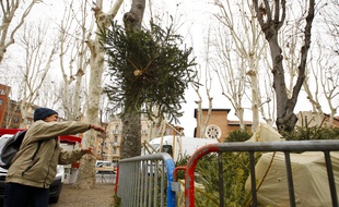 Il y a un point de collectesur la place du Salin.