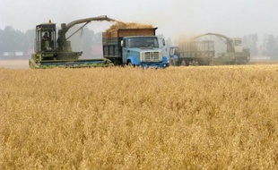 Le recul le plus marqué est celui des matières premières agricoles, après des récoltes pléthoriques à travers le globe en 2014, grâce à une météo "optimale"