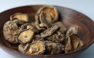 Illustration de shiitake crus.