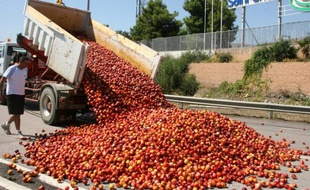 Des producteurs de légumes en colère ont saboté une partie de leur production à Le Bouhou, une ville près de la frontière espagnole.