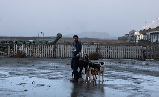 Marcello Fonte dans Dogman de Matteo Garrone