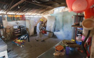 Un agent sanitaire procède à la fumigation d'une maison contre le moustique Aedes Aegytpi, vecteur du virus Zika, le 2 février 2016 à Acapulco, au Mexique
