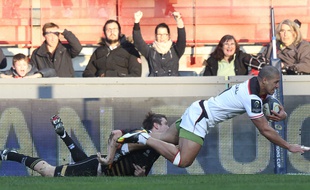L'ailier du Stade Toulousain Paul Perez a inscrit un doublé face aux «Zebre» de Parme en Champions Cup, le 17 décembre 2016 au stade Ernest-Wallon de Toulouse.