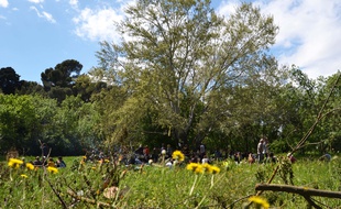Le coin de nature de Las Rébès, à Montpellier.