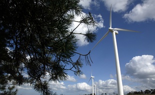 L'électricité produite par le parc éolien de Caurel dans les Côtes-d'Armor sera achetée par EDF dans le cadre de sa nouvelle offre verte et locale.