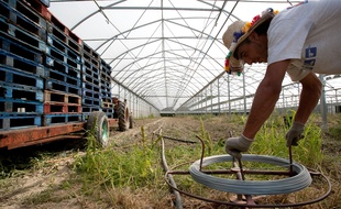 Un ouvrier agricole (photo d'illustration)