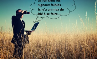 La détection de signaux faible, une nouveauté depuis 1975.