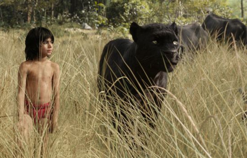 Le Livre De La Jungle Film Voix Françaises «Le Livre de la Jungle»: Eddy Mitchell et Cécile de France dans le
