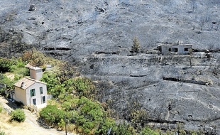 Les ravages causés par l'incendie de Carpiagne.