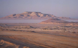 Le désert à Abu Dhabi.